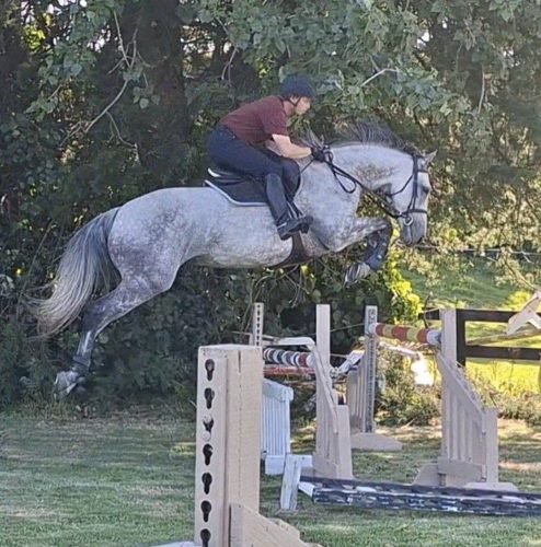 Rider wearing a helmet on a gray horse mid-air over a show jump outdoors in a grassy area.