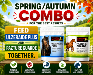 Spring/Autumn Combo banner showing two PowerStar Nutrition horse supplements (Ulzeride Plus and Pazture Guard) with a horse pasture background, promoting a joint purchase.