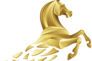 Power Star Nutrition golden logo